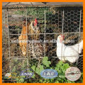 Best price!!! Hot sale chicken coop/hexagonal wire netting/Chicken wire mesh